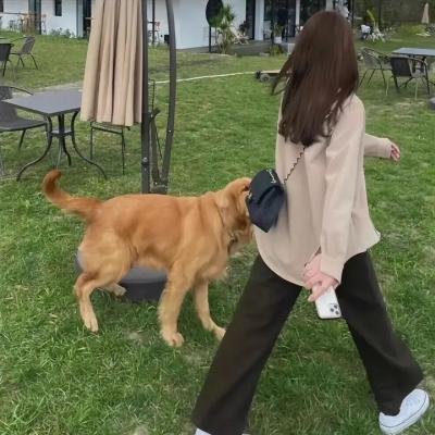南法撩妹记 在线观看